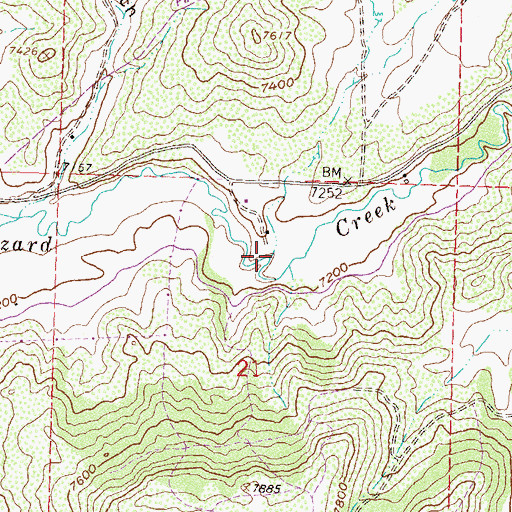 Topographic Map of Carter Gulch, CO