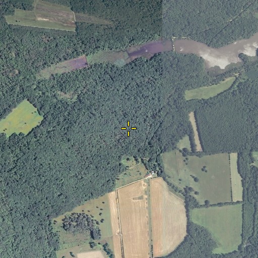 Aerial/Satellite Image of Caledon State Park, VA