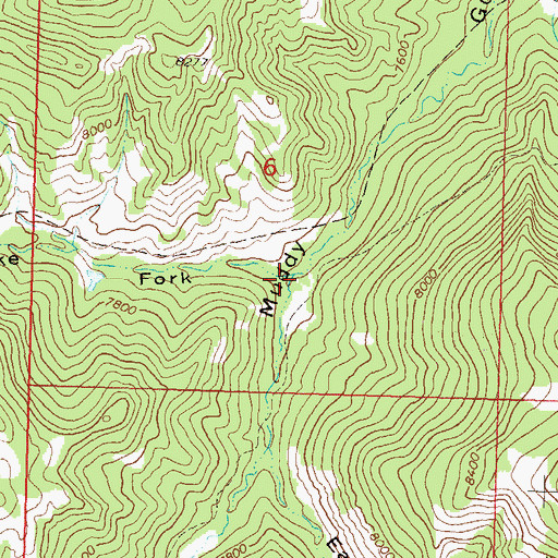 Topographic Map of Lake Fork Little Muddy Gulch, CO