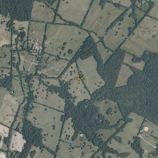 Aerial/Satellite Image of Sunny Bank (historical), VA