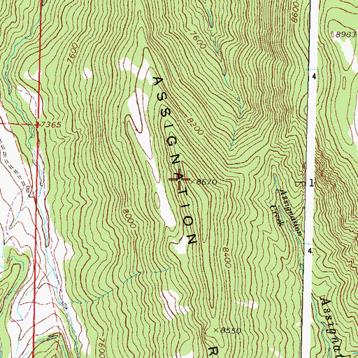 Topographic Map of Assignation Ridge, CO