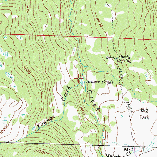 Topographic Map of Youngs Creek, CO