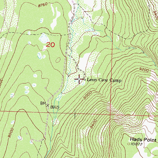 Topographic Map of Leon Cow Camp, CO