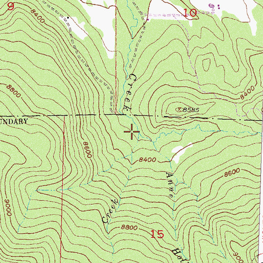 Topographic Map of Two Creek, CO