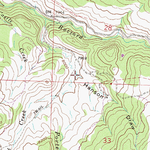 Topographic Map of Hanson Draw, CO
