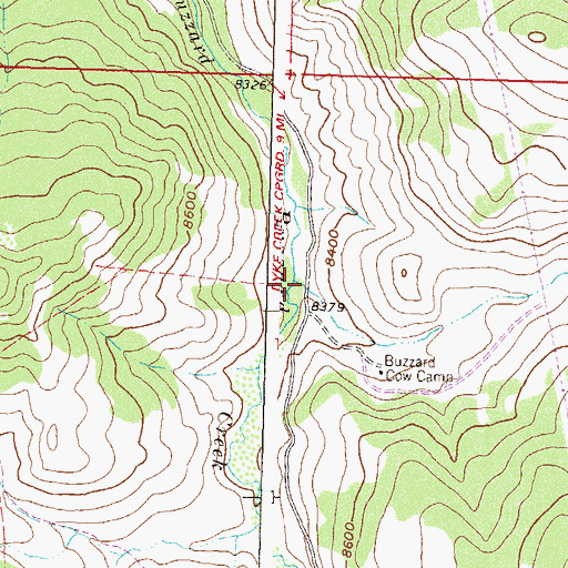 Topographic Map of Crane Creek, CO
