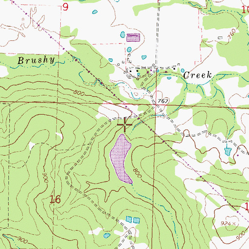 Topographic Map of Brushy Peaceable Creek Site 17 Dam, OK