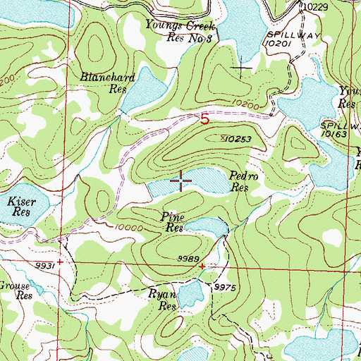 Topographic Map of Pedro Reservoir, CO