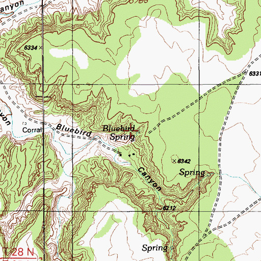 Topographic Map of Bluebird Spring, AZ
