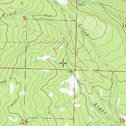 Topographic Map of Little Alder Creek, CO