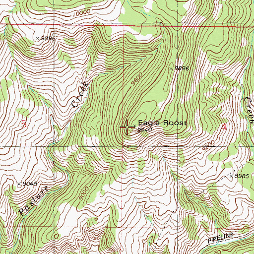 Topographic Map of Eagle Roost, CO