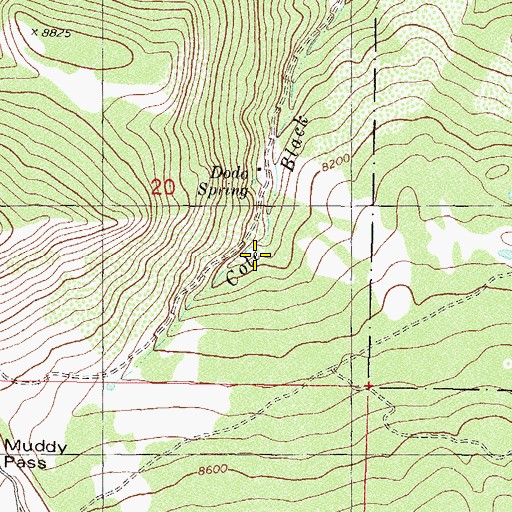 Topographic Map of Dodo Spring, CO