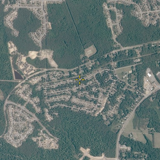 Aerial/Satellite Image of Kings Forest, VA