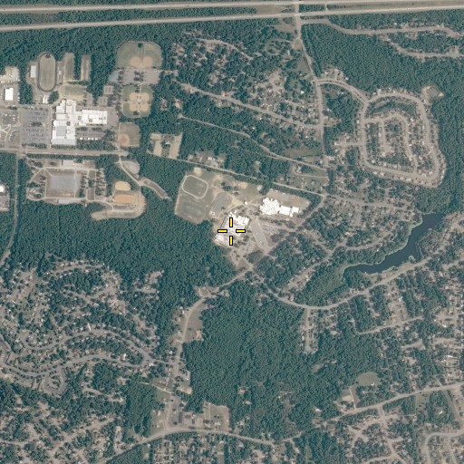 Aerial/Satellite Image of Salem Church Middle School, VA