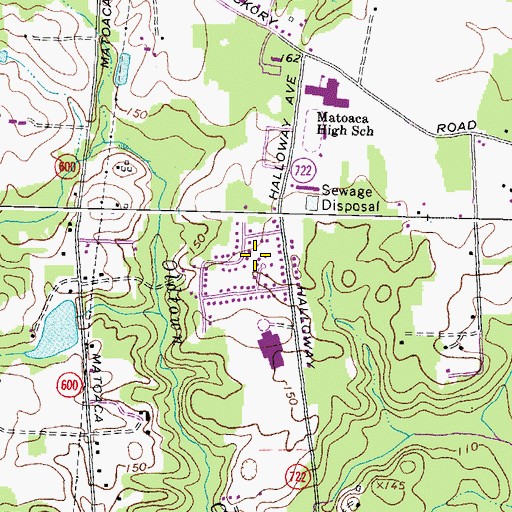 Topographic Map of Oak Forest, VA