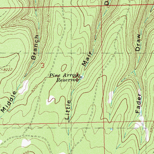 Topographic Map of Pine Arroyo Reservoir, CO