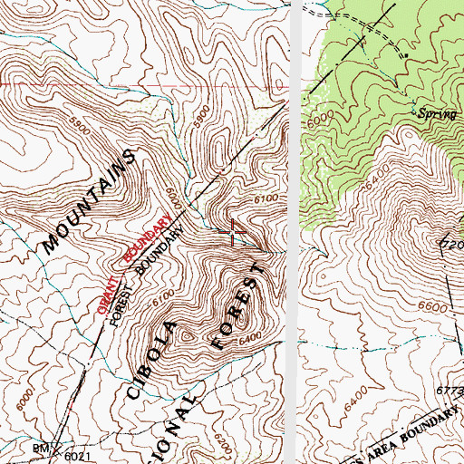 Topographic Map of Berrendo Spring, NM