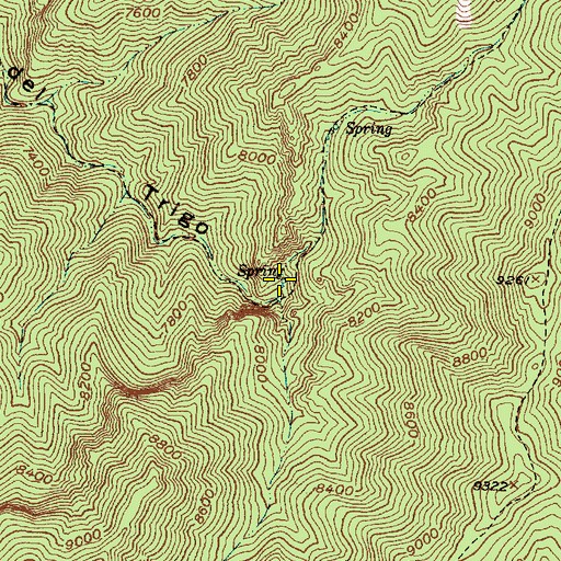 Topographic Map of Trigo Spring, NM