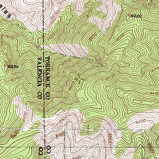 Topographic Map of Bear Spring, NM