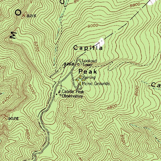 Topographic Map of Capilla Spring, NM