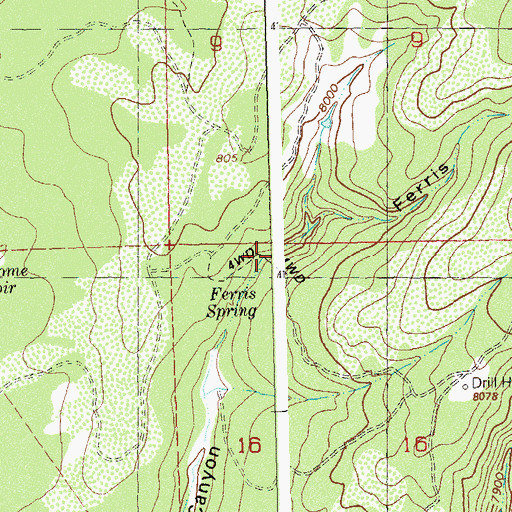 Topographic Map of Ferris Spring, CO