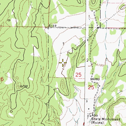 Topographic Map of Ansley Windmill, NM