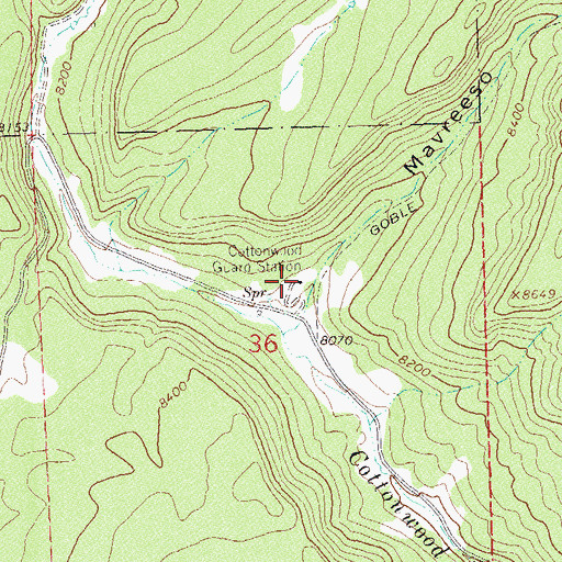 Topographic Map of Cottonwood Guard Station, CO