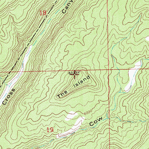 Topographic Map of The Island, CO