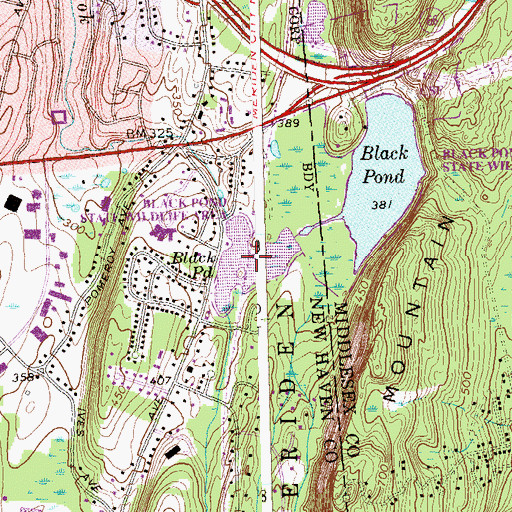 Topographic Map of Black Pond, CT