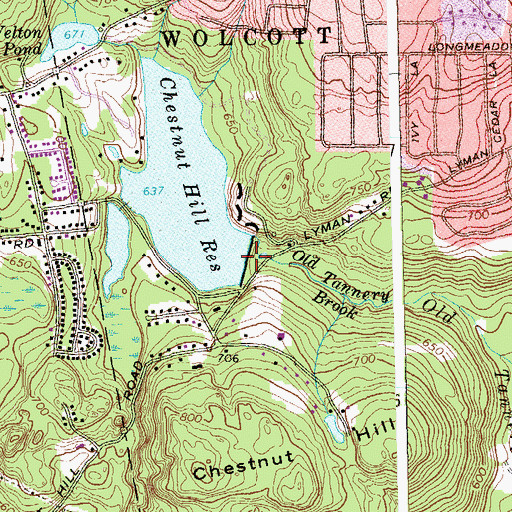 Topographic Map of Chestnut Hill Dam, CT