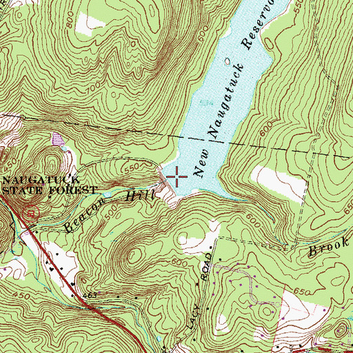 Topographic Map of New Naugatuck Reservoir Dam, CT