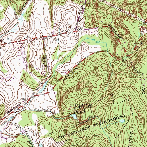 Topographic Map of YMCA Pond Dam, CT