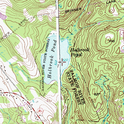 Topographic Map of Holbrook Pond Dam, CT