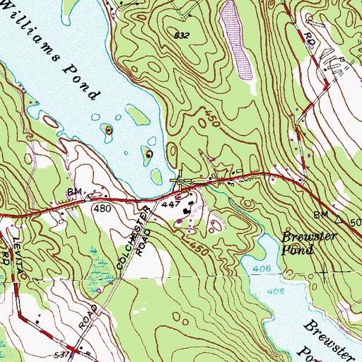 Topographic Map of Williams Pond Dam, CT