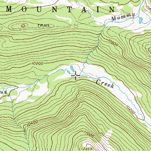 Topographic Map of Mummy Pass Creek, CO