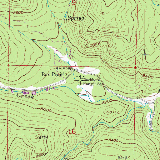 Topographic Map of Buckhorn Ranger Station, CO