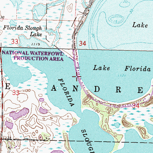 Topographic Map of Florida Lake Dam, MN
