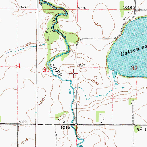 Topographic Map of Cottonwood Lake, MN