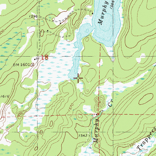 Topographic Map of Murphy Lake, MN