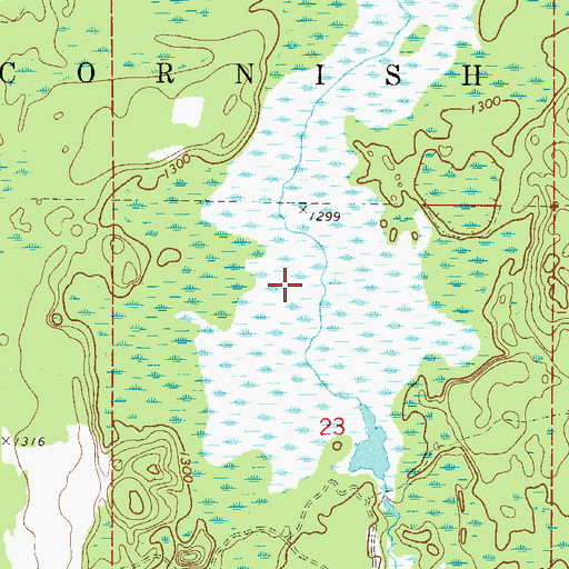 Topographic Map of Cornish Flowage, MN