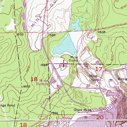 Topographic Map of Wabigone Tailings Dike, MN
