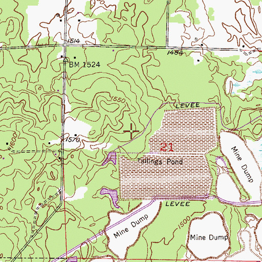Topographic Map of Perry-Wyman Tailings Dike, MN