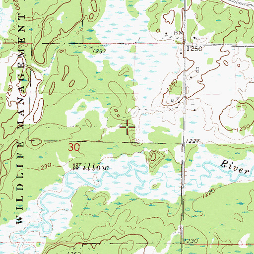 Topographic Map of Rice Portage Lake, MN