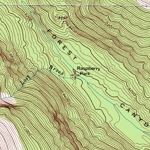 Topographic Map of Raspberry Park, CO