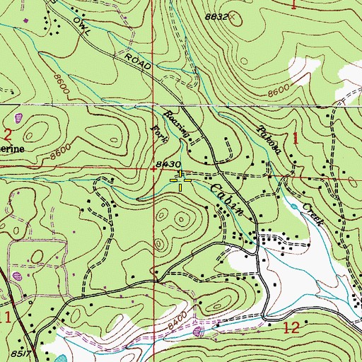 Topographic Map of Roaring Fork, CO