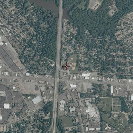Aerial/Satellite Image of Fairlawn Elementary School, VA