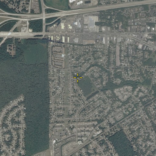 Aerial/Satellite Image of Dunedin, VA