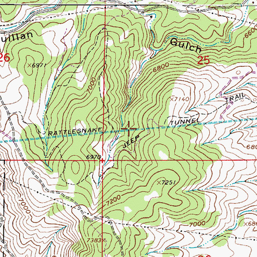 Topographic Map of Rattlesnake Tunnel, CO