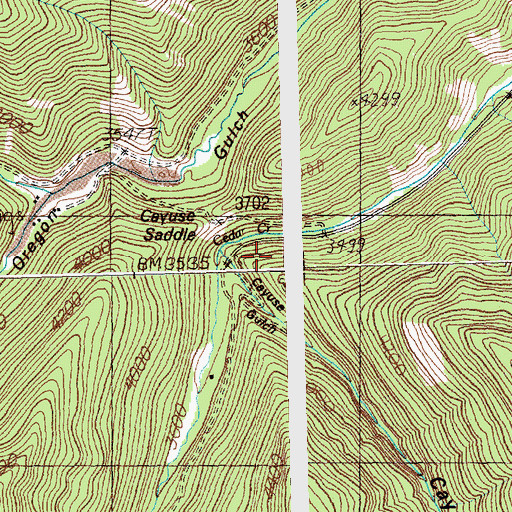 Topographic Map of Lincoln City (historical), MT