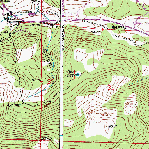 Topographic Map of Buck Lake, CO